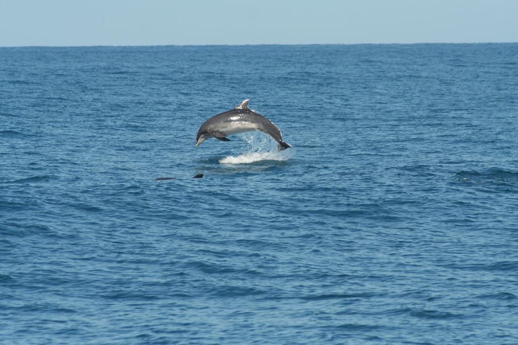 Vacanze A Viareggio Værelse billede